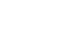 icono 4